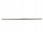 Front door trim (molding)