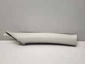 (A) pillar trim
