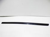 Front door trim (molding)