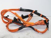 Other wiring loom