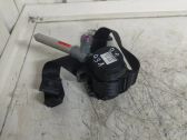 Cinturón trasero