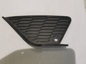 Front fog light trim/grill
