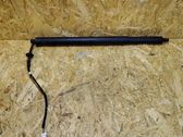 Tailgate/trunk strut/damper