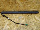Tailgate/trunk strut/damper