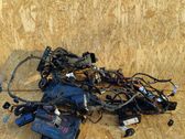 Cableado de instalación del motor