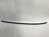 Roof trim bar molding cover