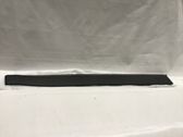Trim molding