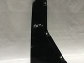 Rear door glass trim molding