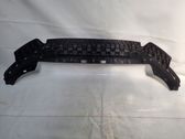 Front bumper skid plate/under tray