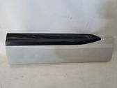 Rear door trim (molding)