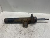 Front shock absorber/damper