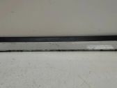 Rear door trim (molding)