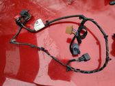 Rear door wiring loom