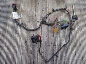 Rear door wiring loom