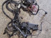 Engine installation wiring loom