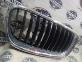 Kühlergrill