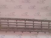Front bumper lower grill