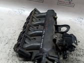 Intake manifold