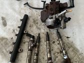 Conjunto de sistema de inyección de combustible
