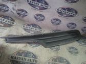 Front fog light trim/grill