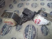 Set of seat belts