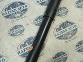 Rear shock absorber with coil spring