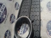 Grille antibrouillard avant