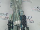 Roof airbag