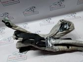 Roof airbag