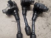 Ignition plug leads