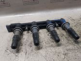 Ignition plug leads