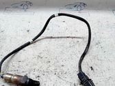 Exhaust pressure sensor
