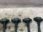 Ignition plug leads