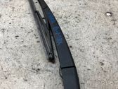 Tailgate/trunk/boot lid