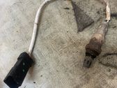 Abgasdrucksensor Differenzdruckgeber