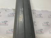 Front door trim (molding)