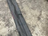 Front door trim (molding)