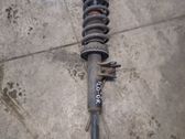 Front shock absorber with coil spring