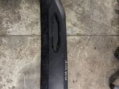 Front door trim (molding)