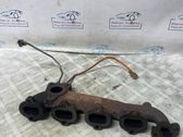 Auspuffkrümmer Abgaskrümmer