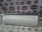 Rear door trim (molding)