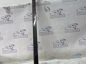 Windshield trim