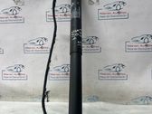 Tailgate/trunk strut/damper