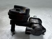 Vacuum valve