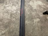 Front door trim (molding)