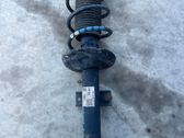 Front shock absorber/damper