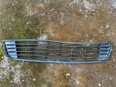 Front bumper lower grill