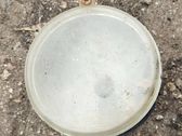 Fog light part