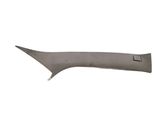Other sill/pillar trim element