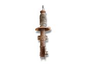 Front shock absorber with coil spring